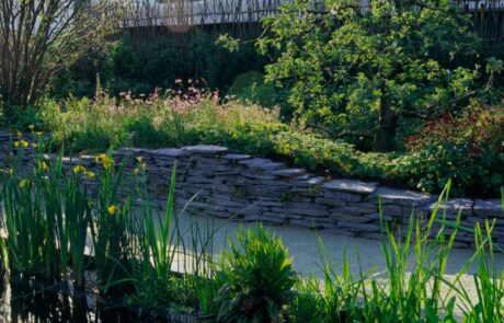 CHELSEA FLOWER SHOW – Elma Fenton Landscape Design