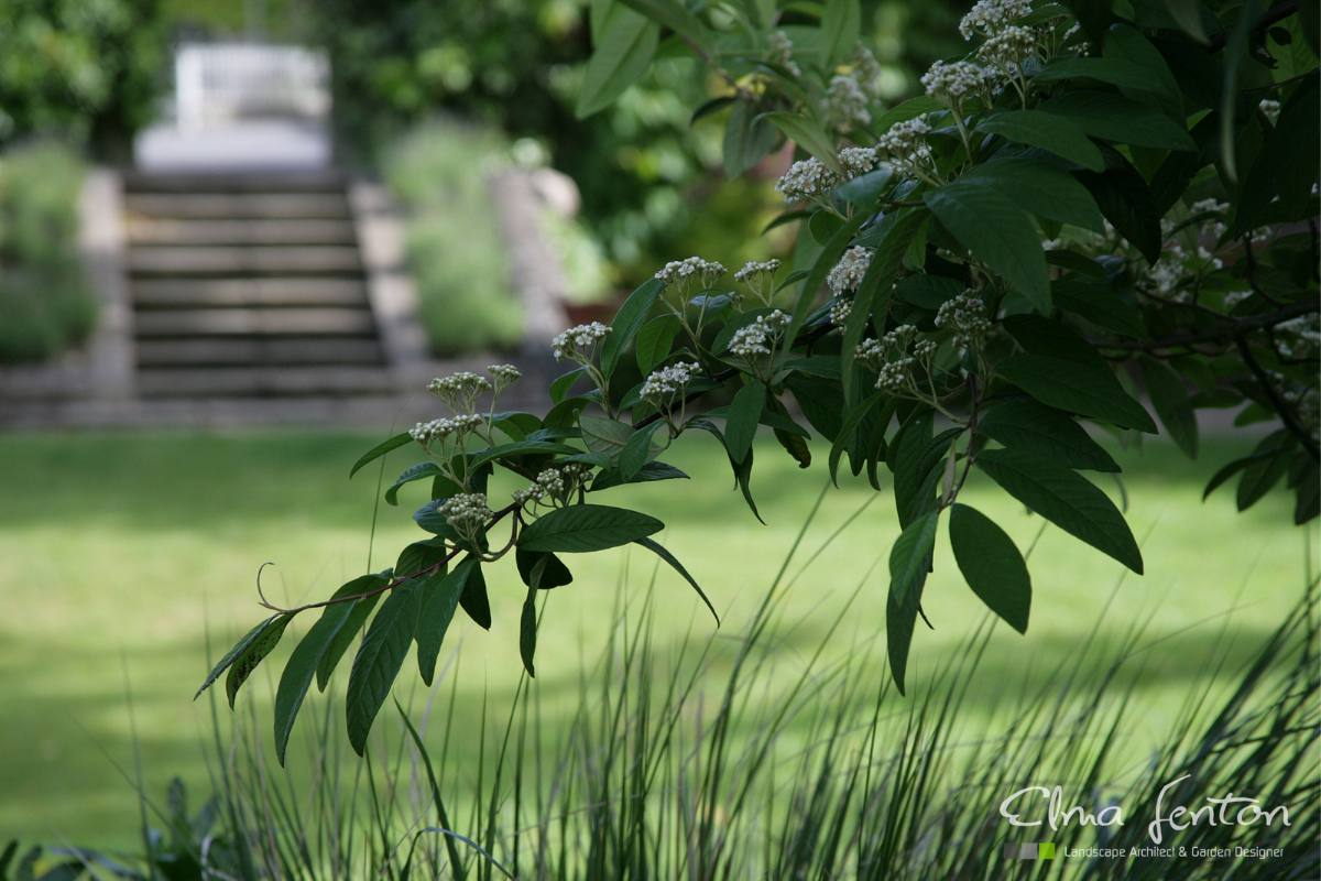 CLASSICAL GARDEN – Elma Fenton Landscape Design